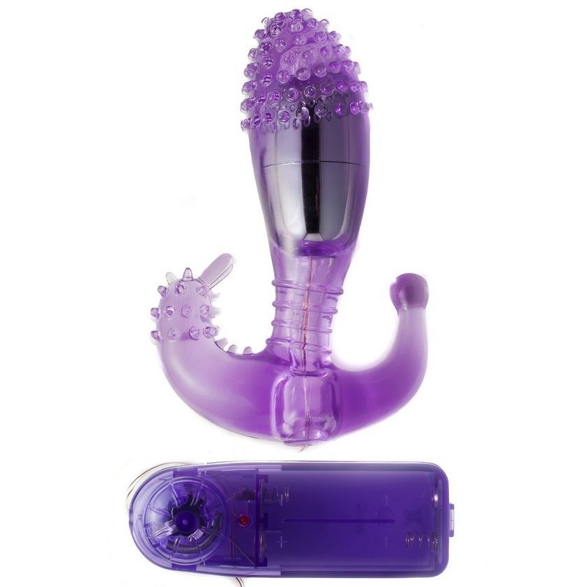 BAILE - Stimulateur Vibrant Lilas pour Plaisirs Vaginal et Anal